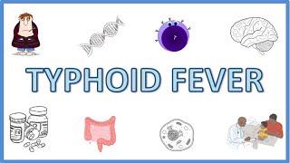 Typhoid Fever  Causes Pathogenesis Signs and Symptoms Diagnosis Treatment and Prevention [upl. by O'Driscoll]