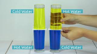 Hot Water Density Experiment [upl. by Volin]