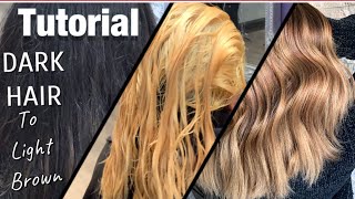 TUTORIAL  Dark Hair To LIGHT Brown  FULL Application  Formulation [upl. by Ahtnahc]