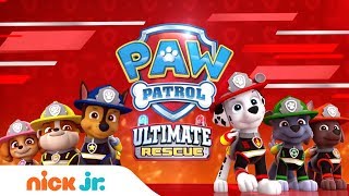 Paw Patrol  The Official Mighty Pups Super Paws Twins Trailer [upl. by Toshiko]