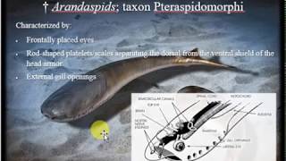 History of Life Pt 2 Paleozoic Era  Ordovician through Permian Periods [upl. by Ttenyl]