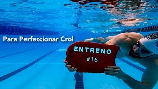 Natación Entrenamiento Crol  Principiantes y avanzado [upl. by Rodrick]