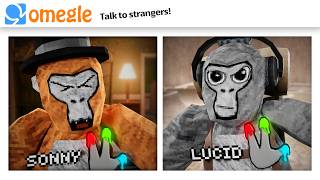 OMEGLE Trolling in Gorilla Tag [upl. by Pelage]