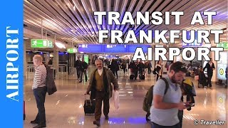 TRANSIT WALK AT FRANKFURT Airport FRA Terminal 1  Connection Flight Transfer Arriving amp Departing [upl. by Nonnarb316]