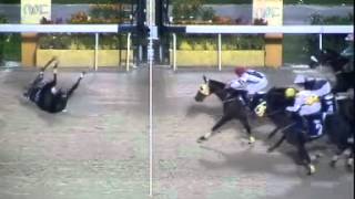 Perhaps this is the horse racing accident you never seen in your live [upl. by Prowel985]