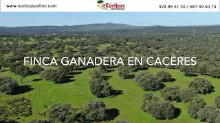 Finca ganadera de 700 ha Cáceres [upl. by Noonberg]