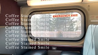 Delaney Bailey  Coffee Stained Smile Visualizer [upl. by Safoelc]