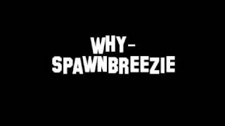 Why  Spawnbreezie [upl. by Adnilg]